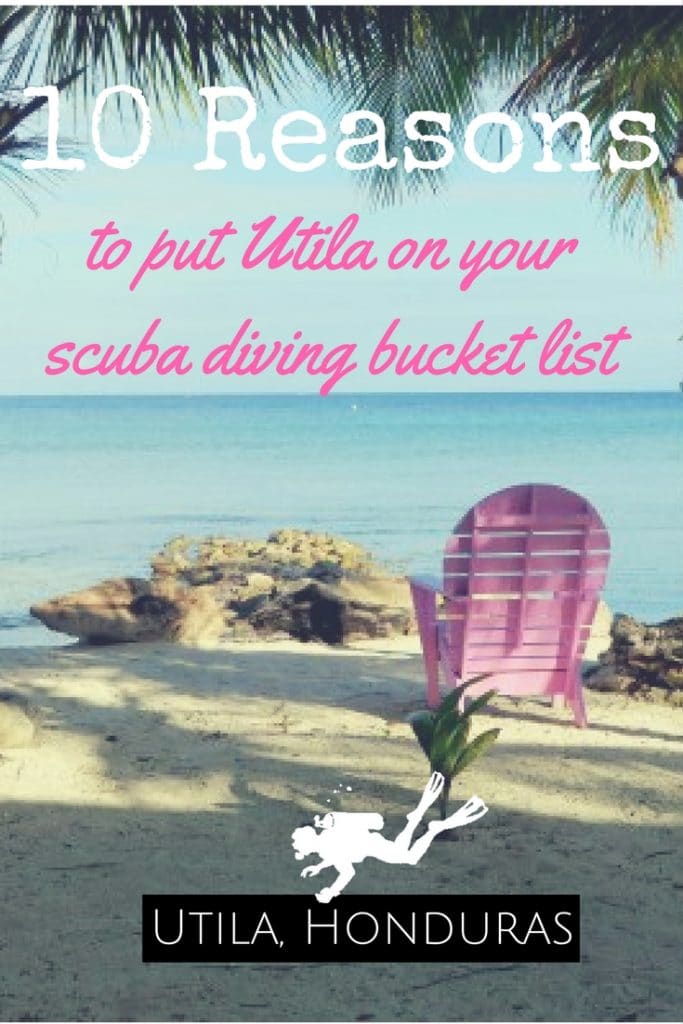 10 Reasons to put Utila Honduras on your scuba diving bucket list
