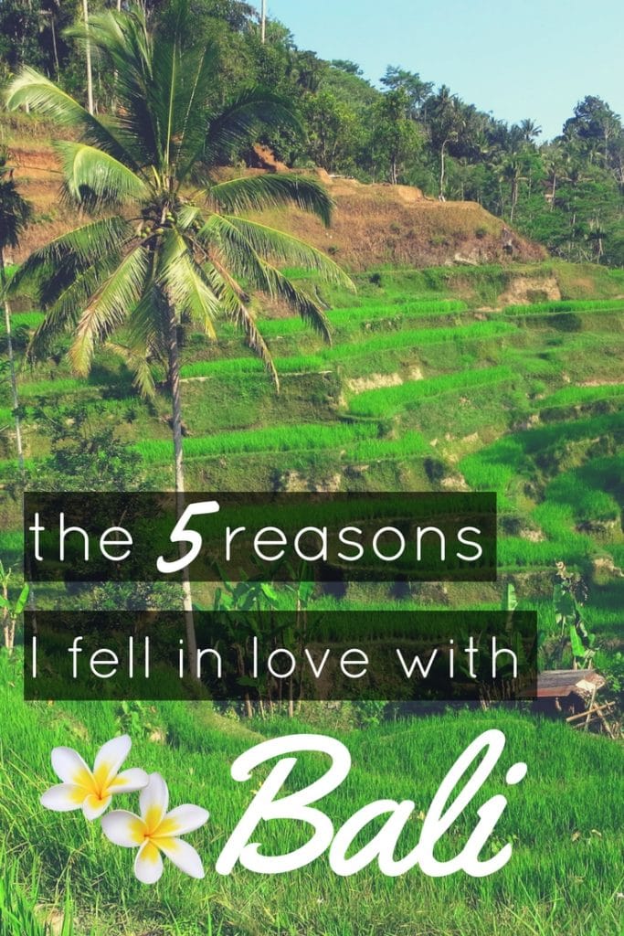 5 reasons I fell in love with Bali