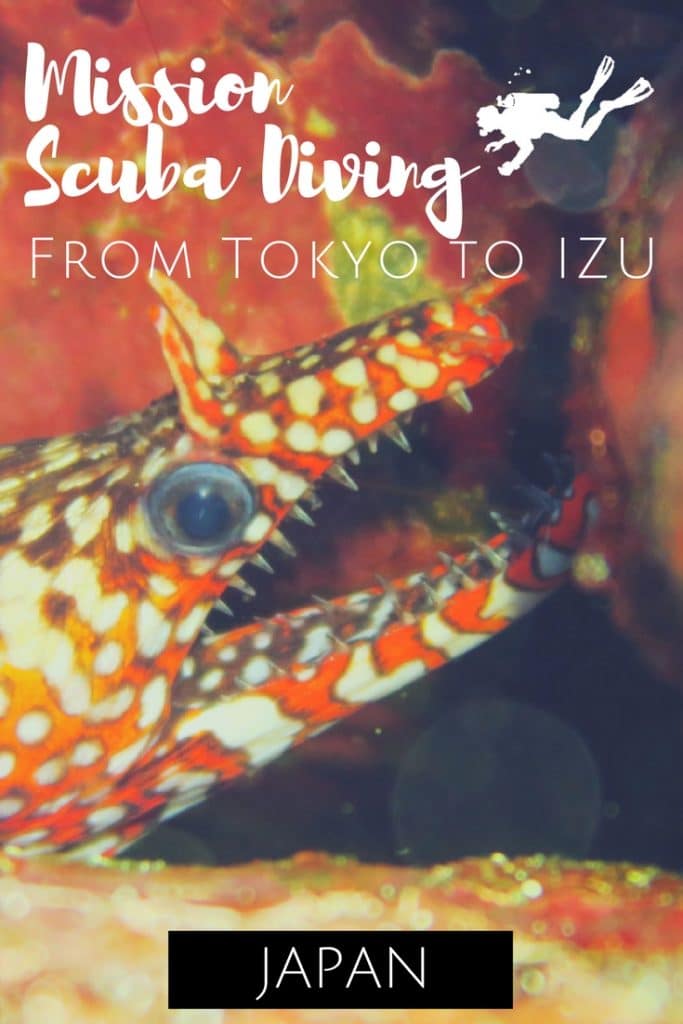 Mission Scuba diving from Tokyo to Izu Japan