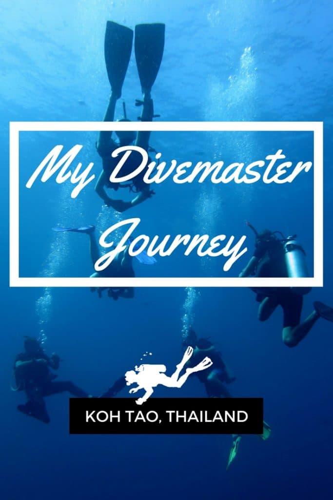 My Divemaster Journey Koh Tao Thailand