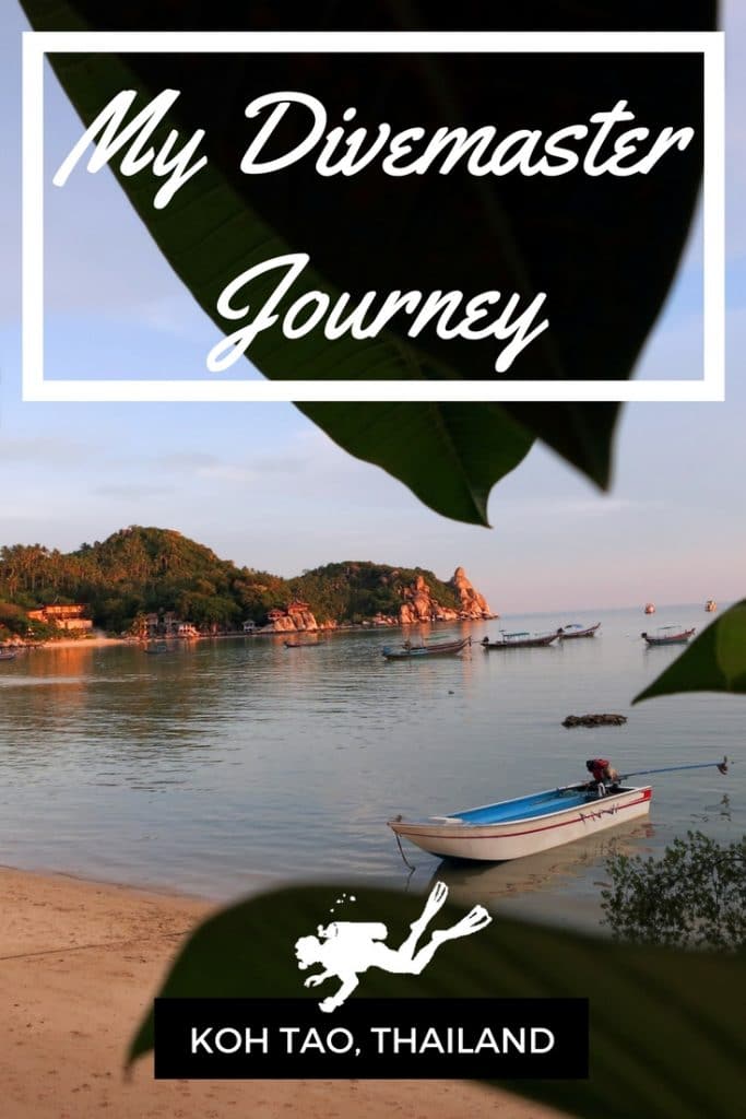 My Divemaster Journey Koh Tao Thailand