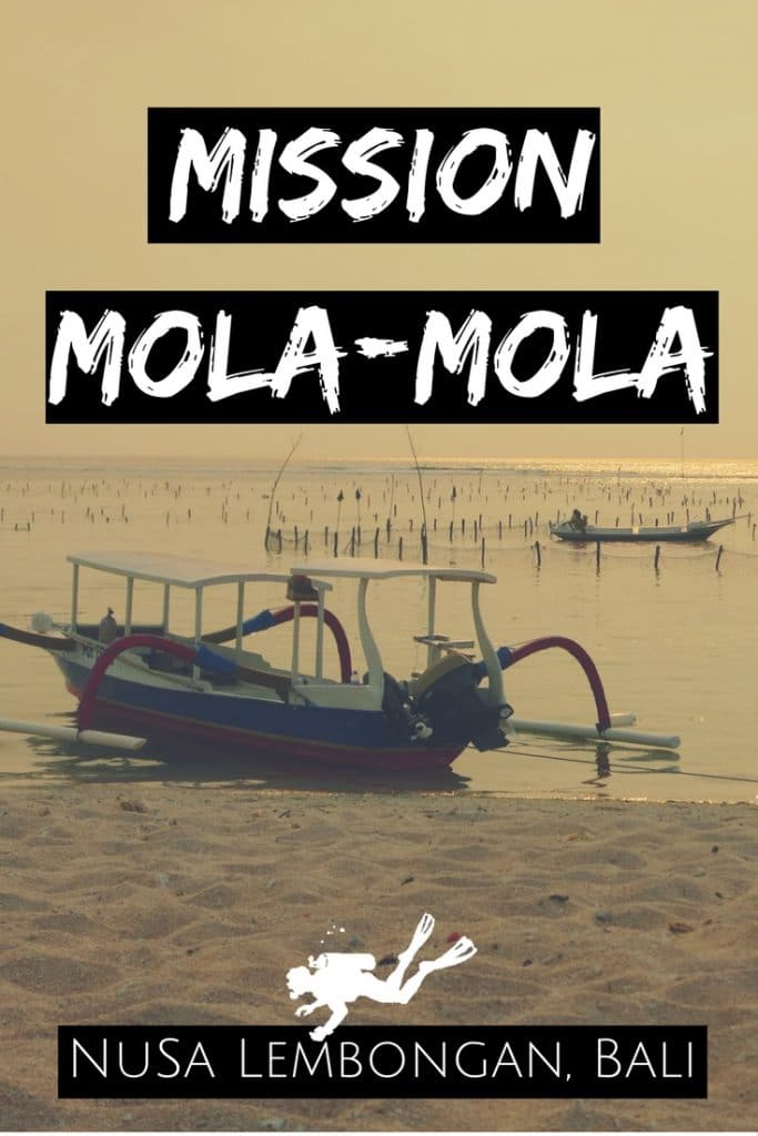 Diving in Nusa Lembongan Bali - mission mola mola - pin2