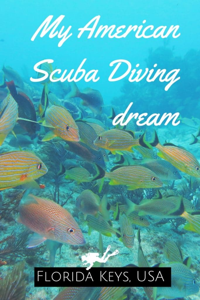 Diving in the Florida Keys pin1