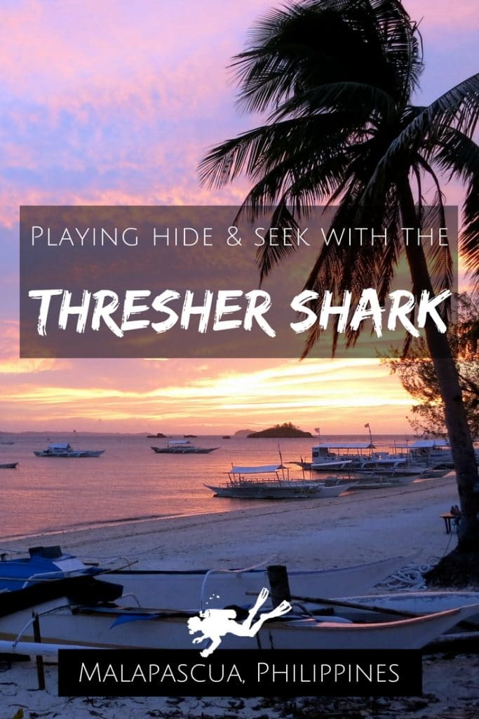 Playing hide seek with the thresher shark in malapascua Philippines