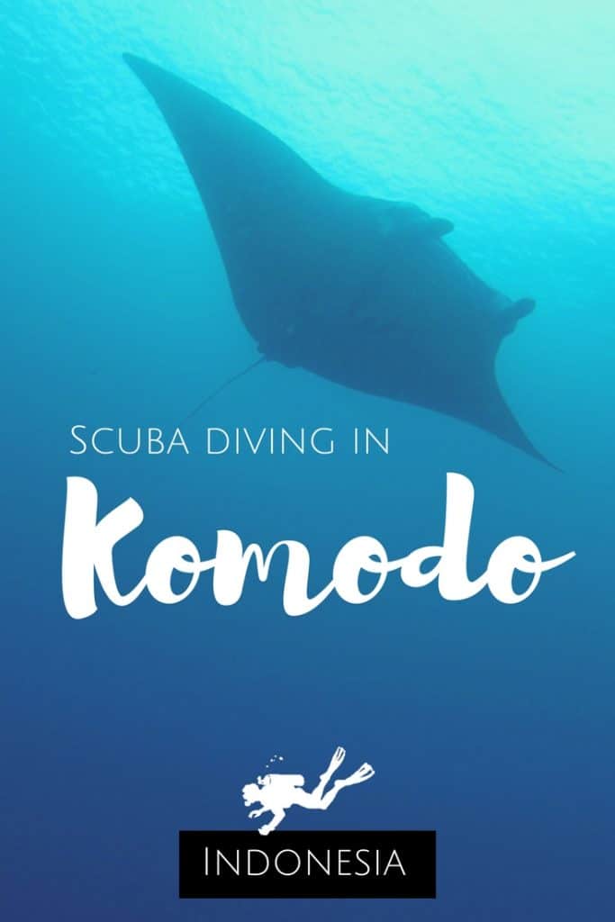 Scuba diving in Komodo Indonesia