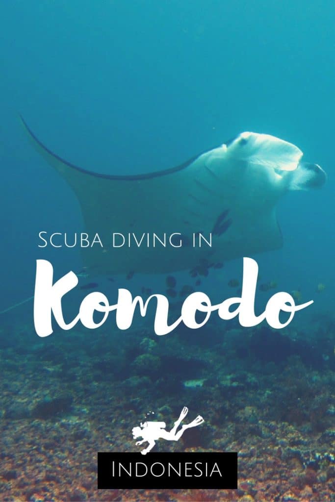 Scuba diving in Komodo Indonesia