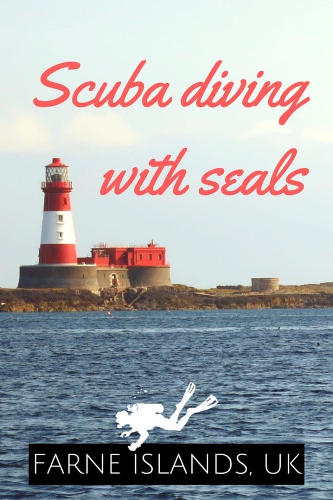 Scuba diving with seals Farne Islands UK