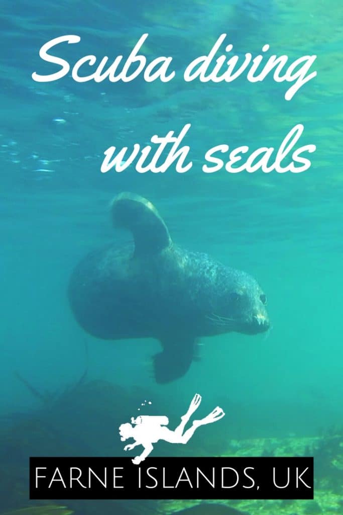 Scuba diving with seals Farne Islands UK
