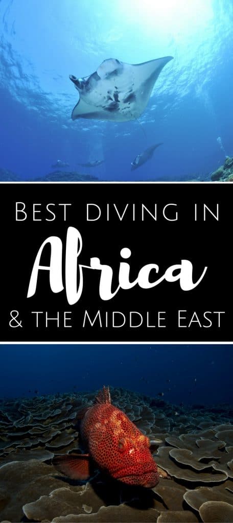 Best diving in Africa and Middle East