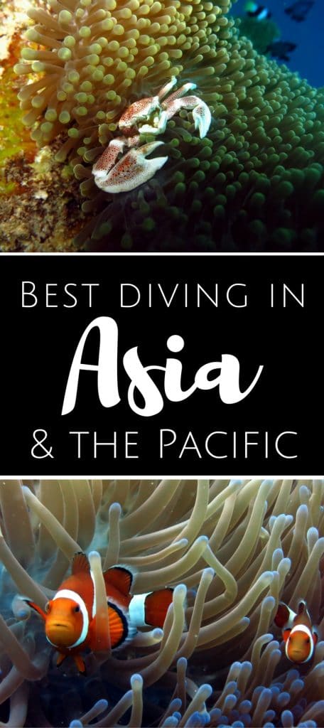 Best diving in Asia Pacific pin1