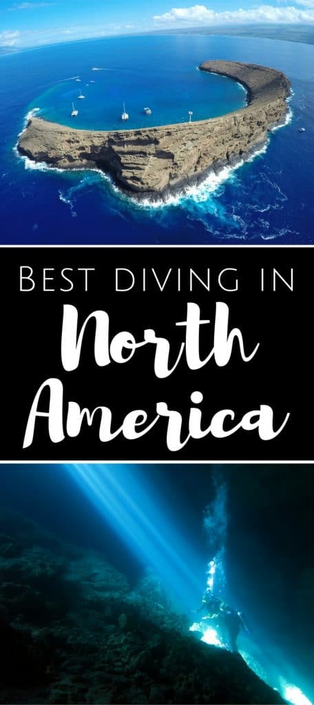Best diving in North America