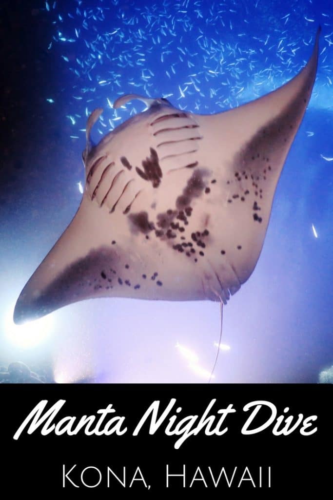 Manta Night Dive Kona Hawa