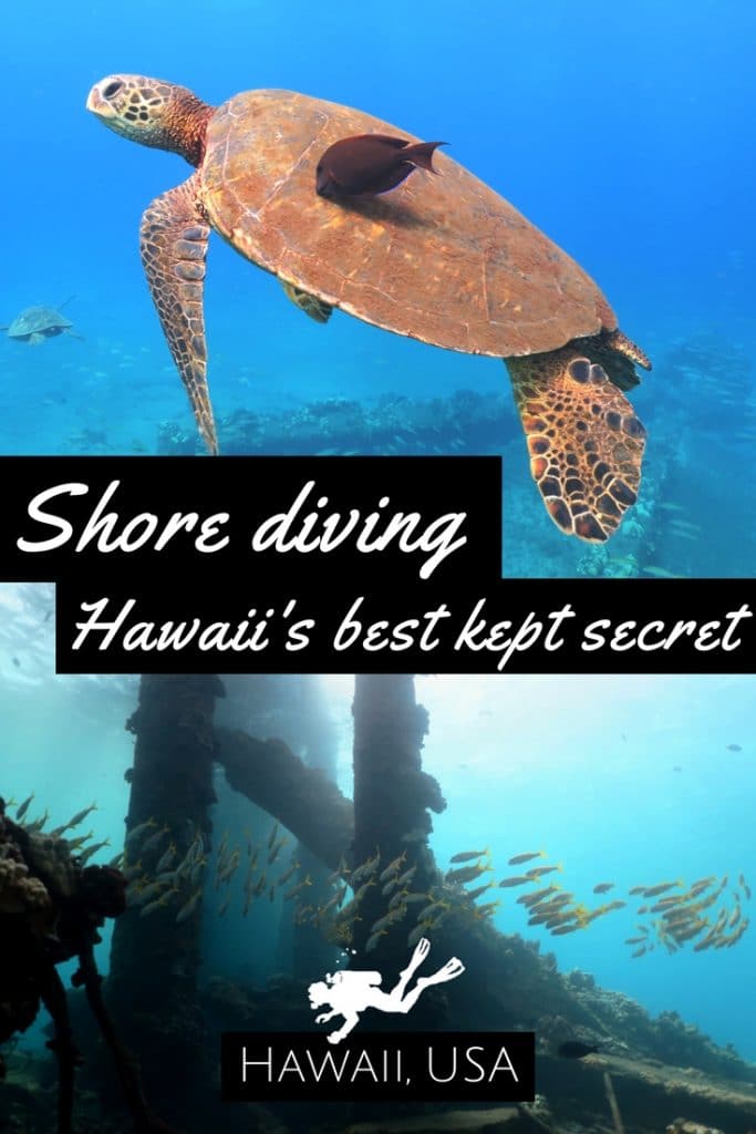 Shore diving in Maui and Big Island Hawaii best kept secret