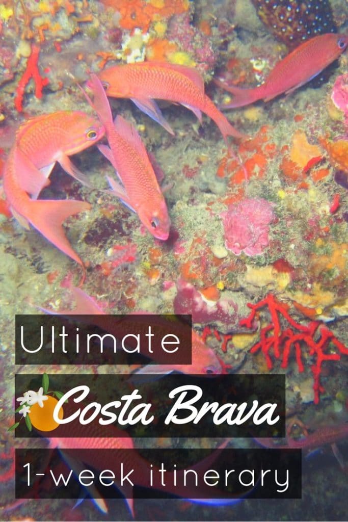 Costa Brava Itinerary Scuba diving Catalonia Spain
