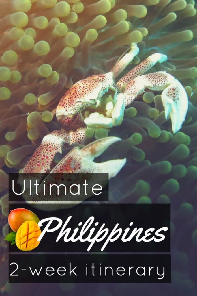 2 weeks in the Philippines: island hoping in the Visayas