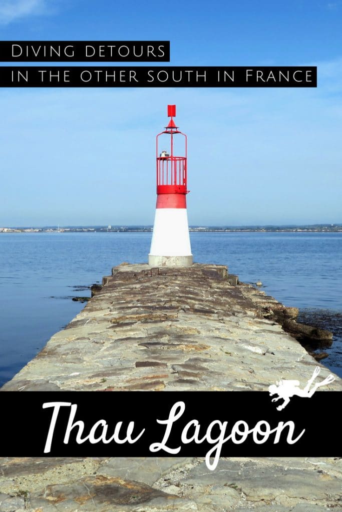Scuba diving in Thau Lagoon France