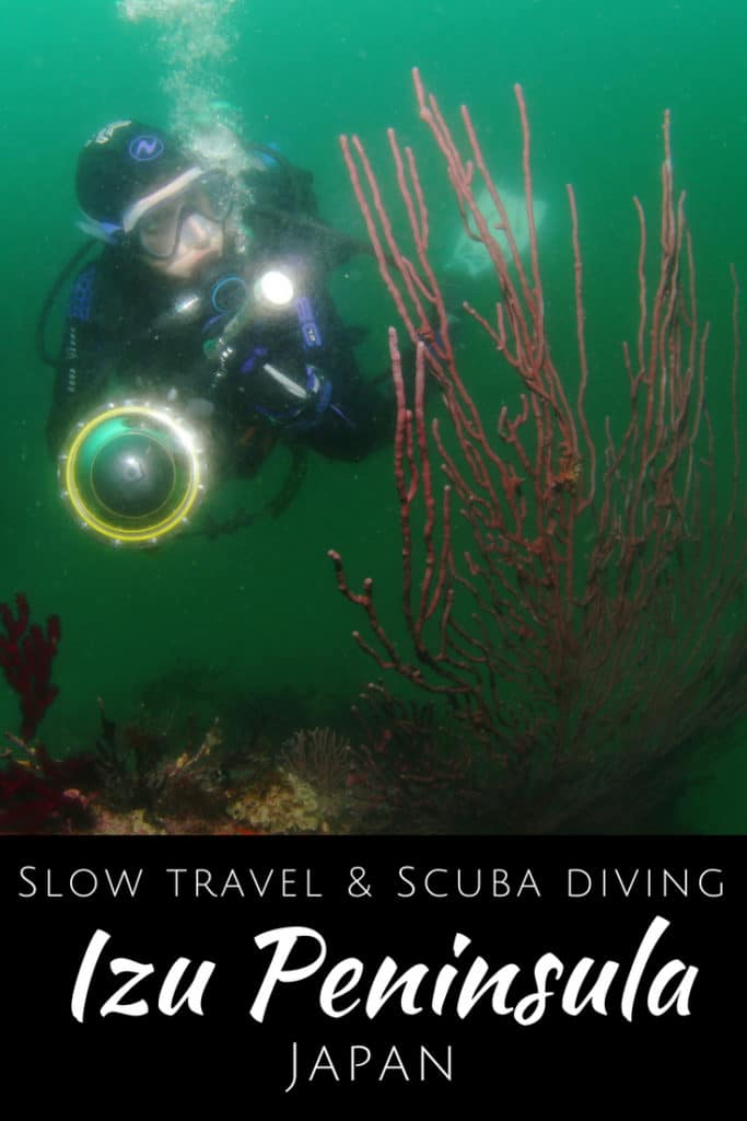 Slow travel and Scuba diving in the Izu Peninsula Japan
