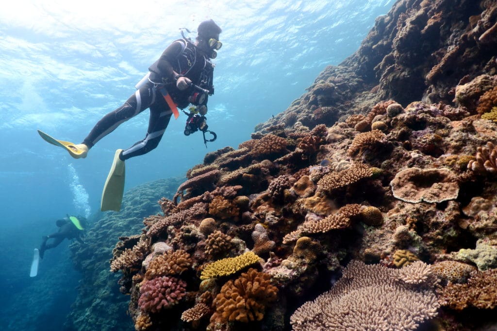 Scuba diving Manza Dream Hole Okinawa Japan