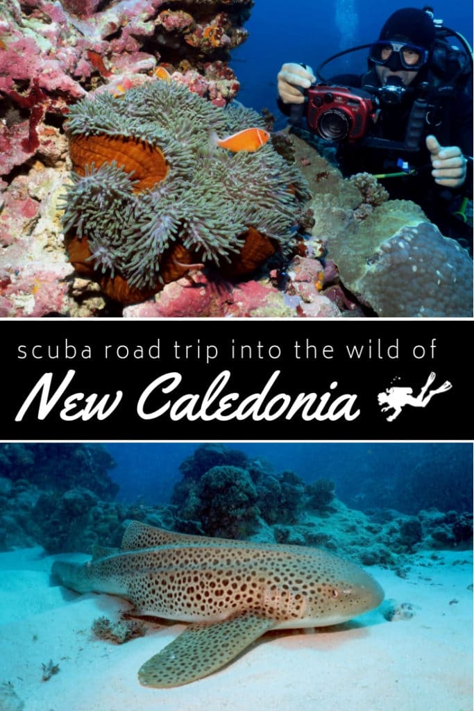scuba road trip new caledonia