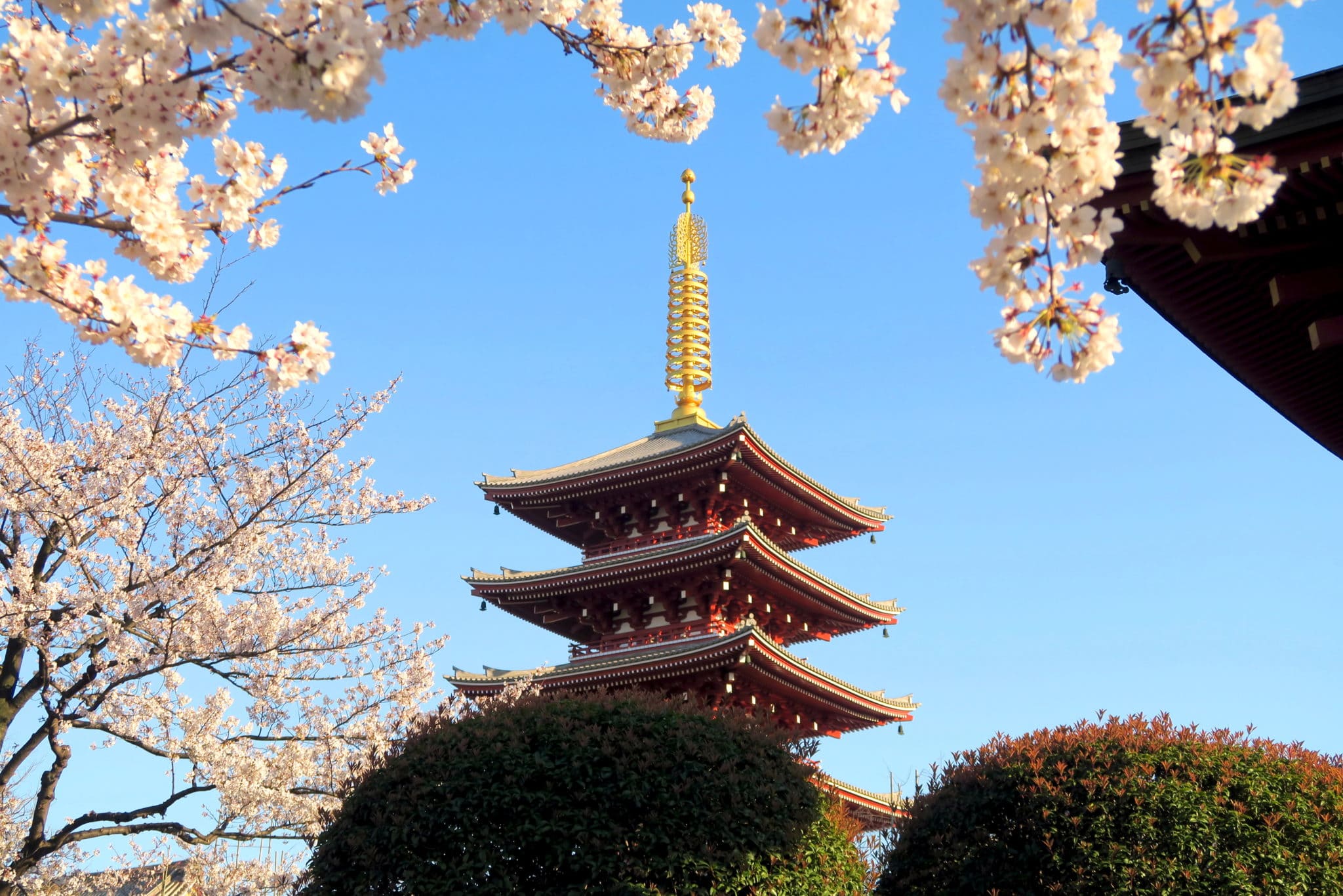 Fun things to do in Japan - World Adventure Divers