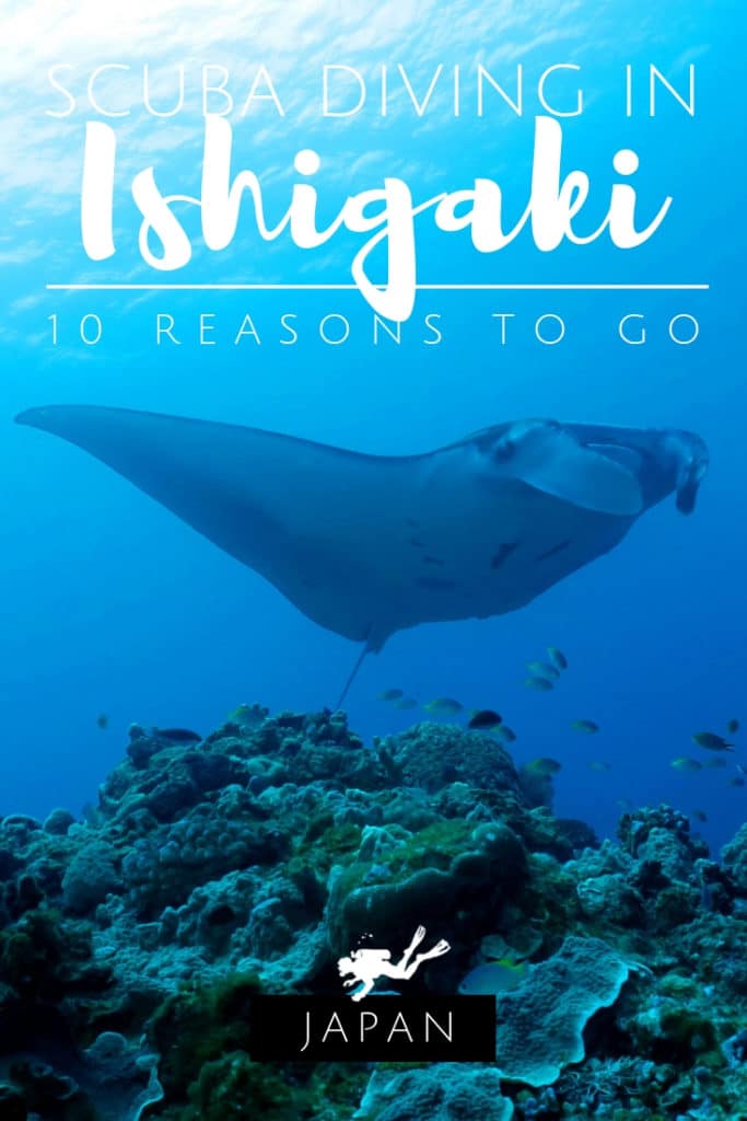 Scuba diving in Ishigaki