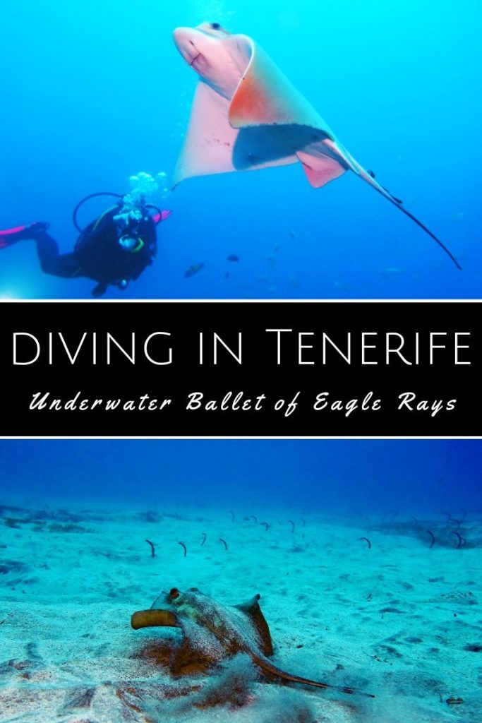 Diving Tenerife