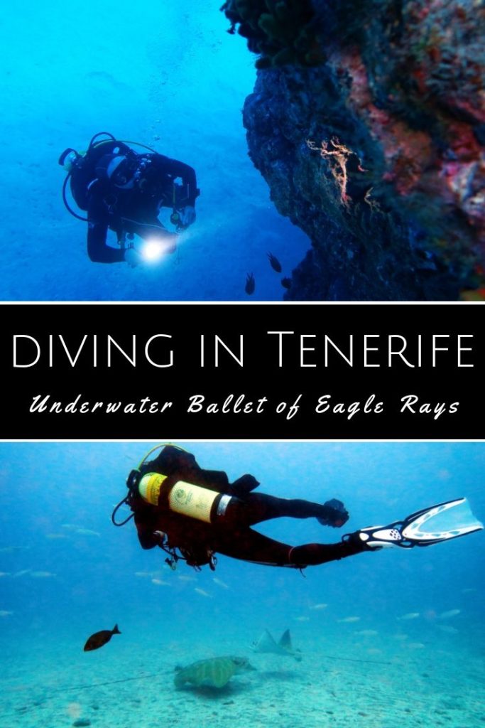 Diving Tenerife
