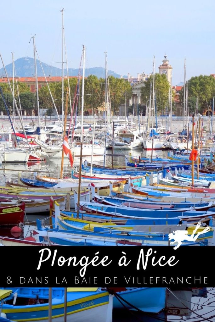 Plongée Nice pin2