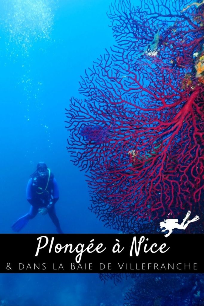 Plongée Nice pin1