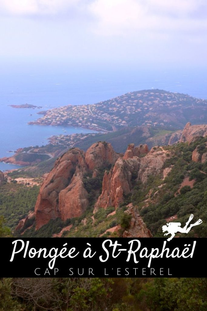 Plongée à Saint-Raphaël - Cap sur l'Estérel - pin1