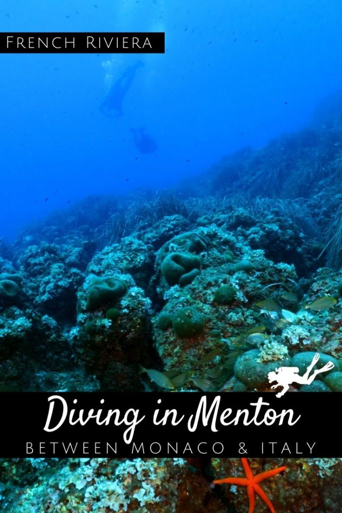 Diving in Menton pin