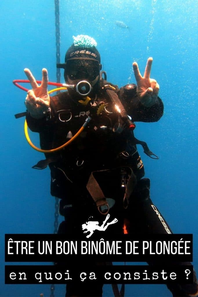 Bon binôme de plongée pin1