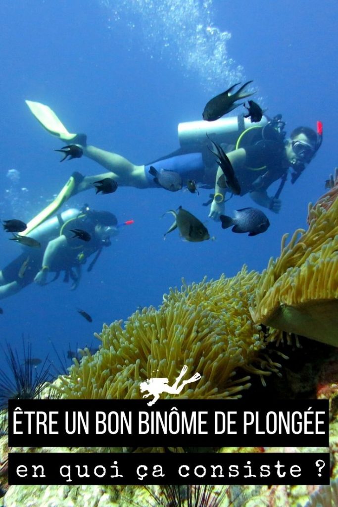 Bon binôme de plongée pin2