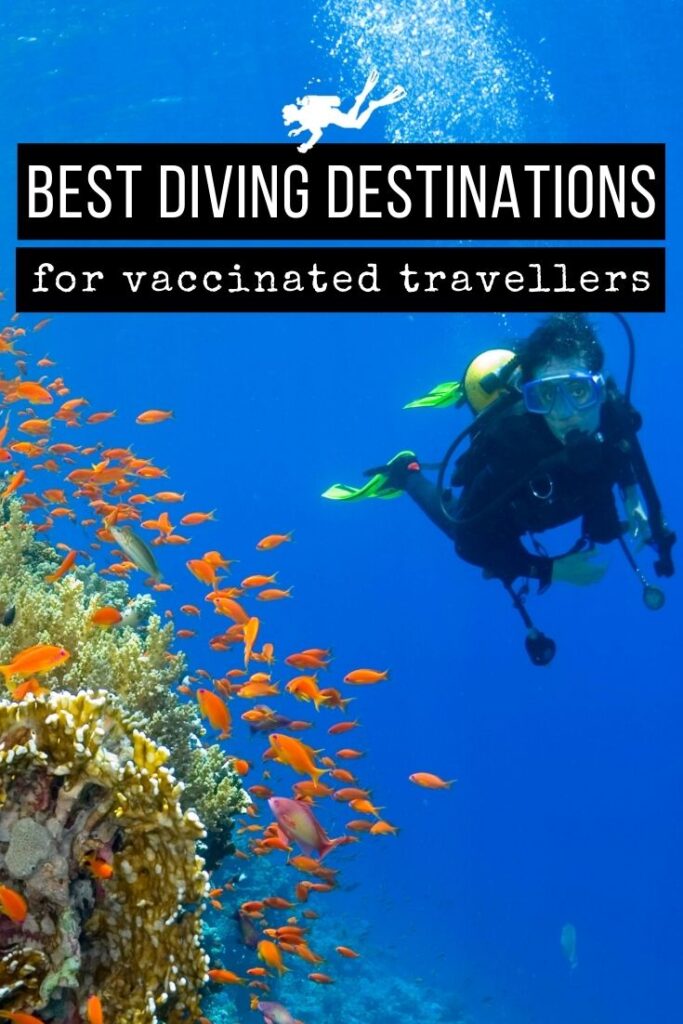 best diving destinations for vaccinated travellers