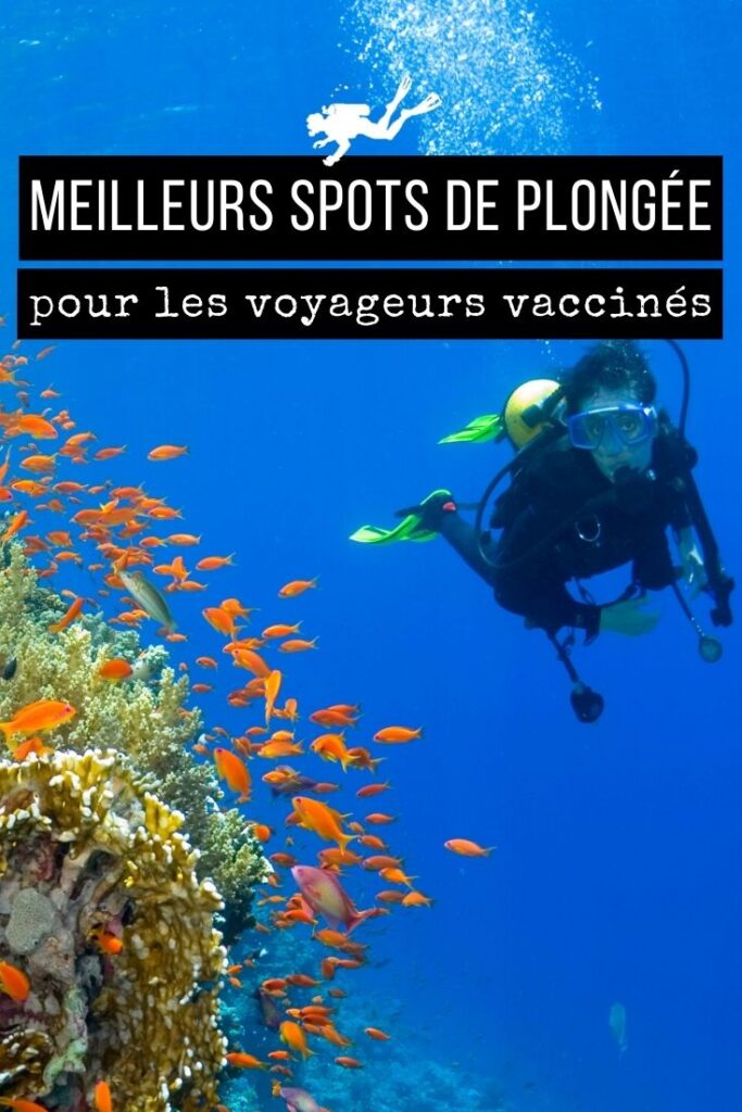 meilleurs spots de plongée pour les voyageurs vaccinés