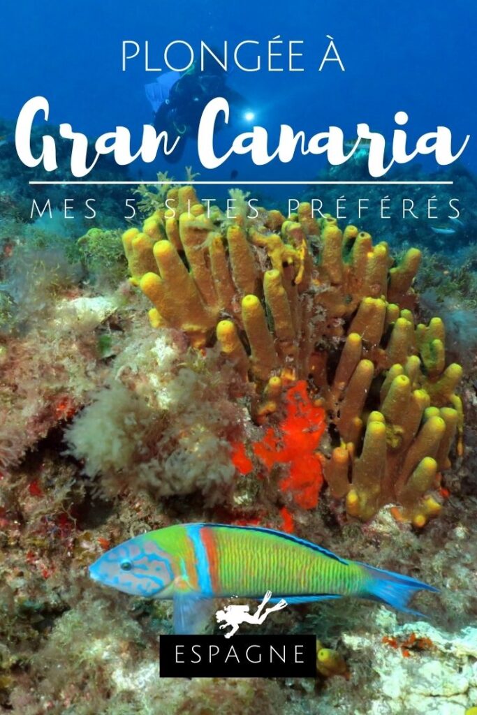 Plongée Gran Canaria pin1