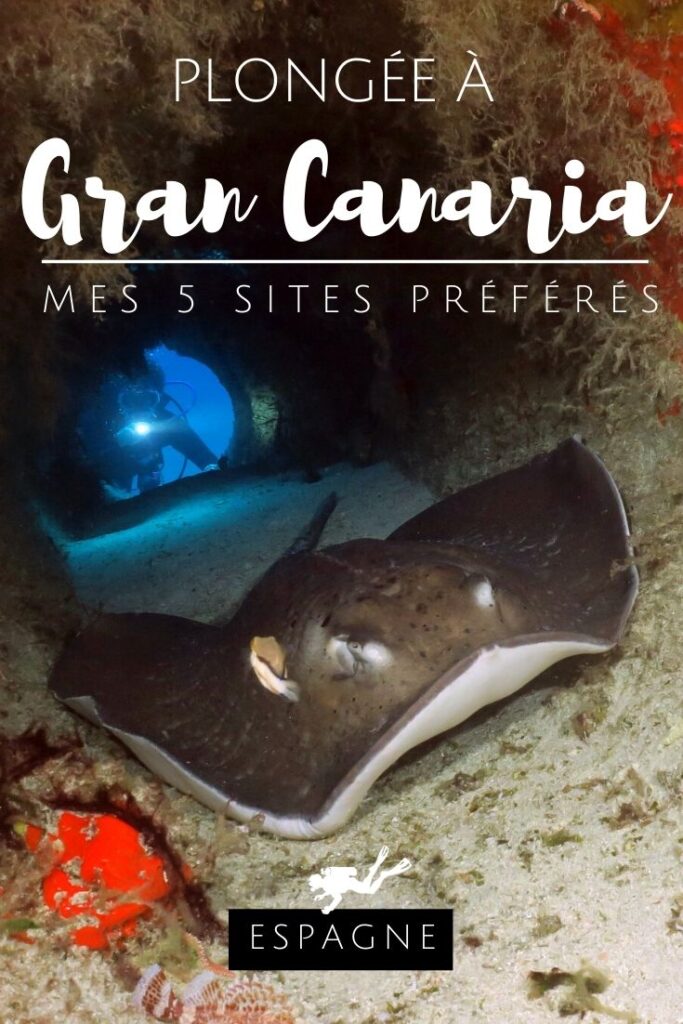 Plongée Gran Canaria pin2