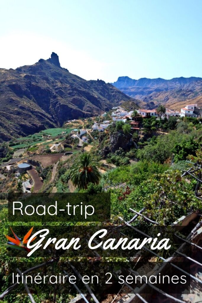 Road Trip Gran Canaria Itinéraire 2 semaines pin1
