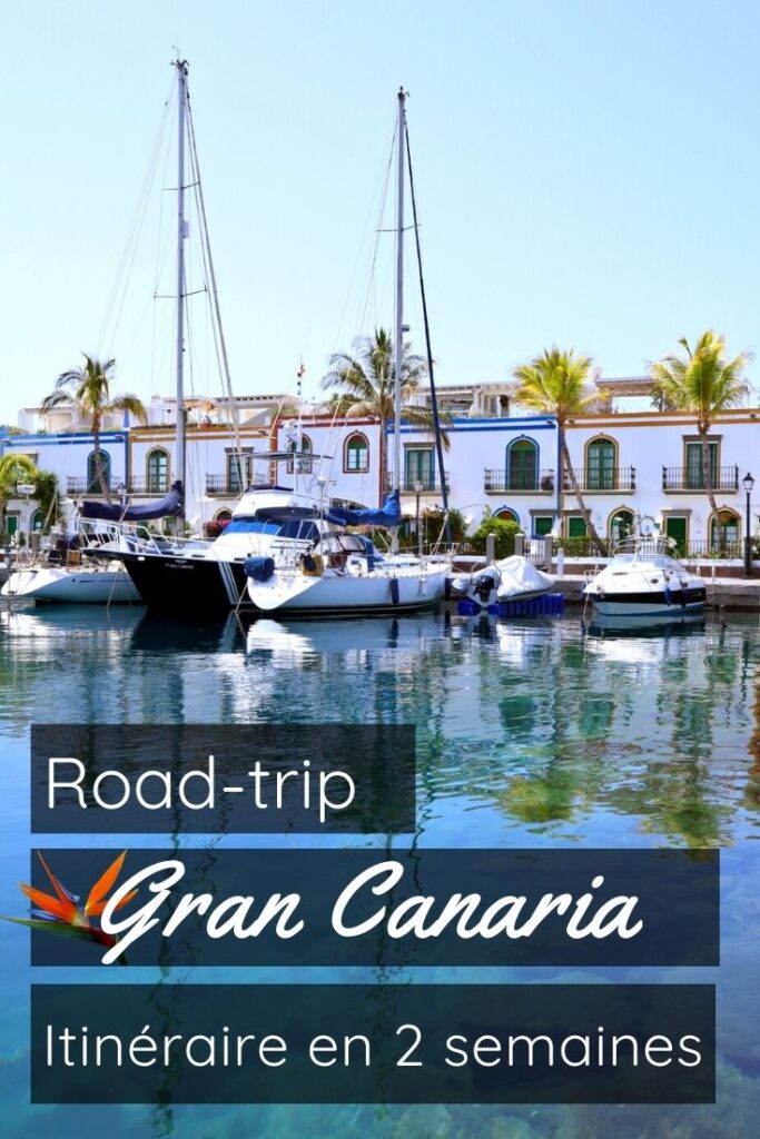Road Trip Gran Canaria Itinéraire 2 semaines pin1