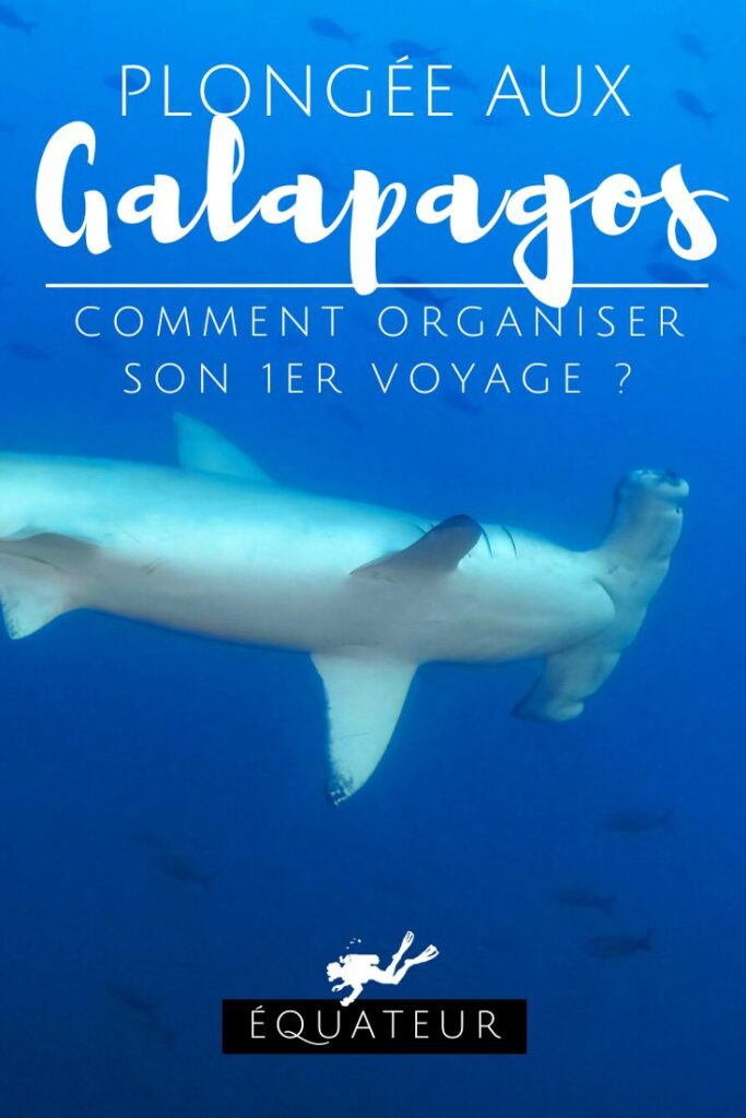 Plongée aux Galapagos Comment organiser son premier voyage