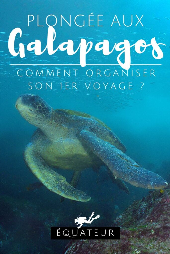 Plongée aux Galapagos Comment organiser son premier voyage