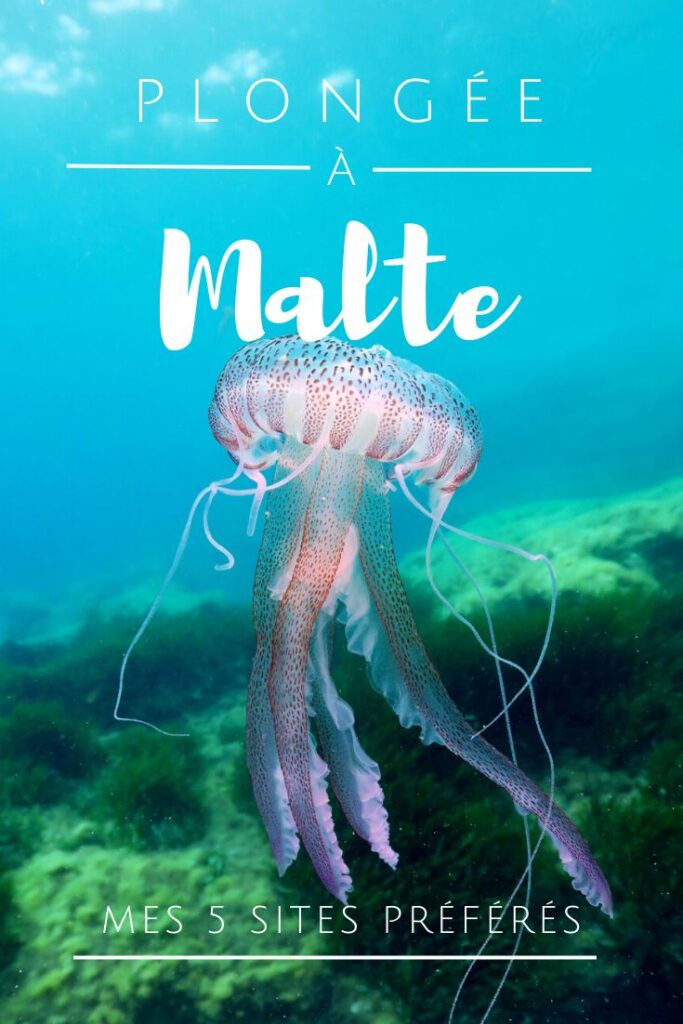 Plongée à Malte meilleurs sites pin2