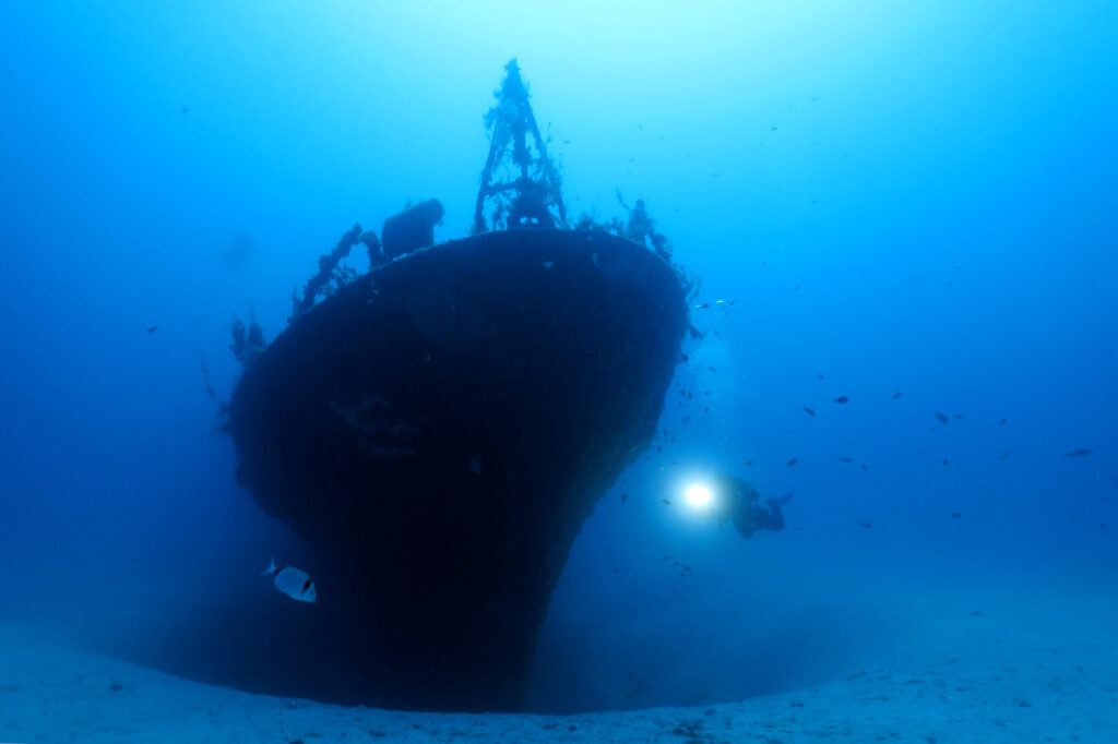 Diving in Malta - P29 shipwreck