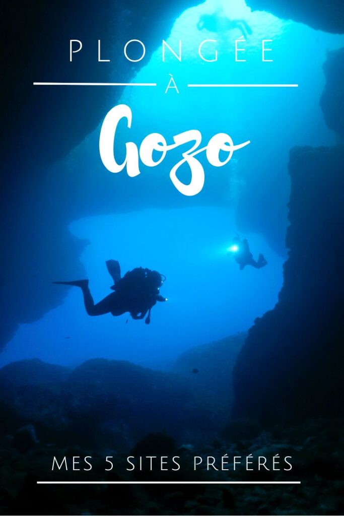 Plongée Gozo pin2