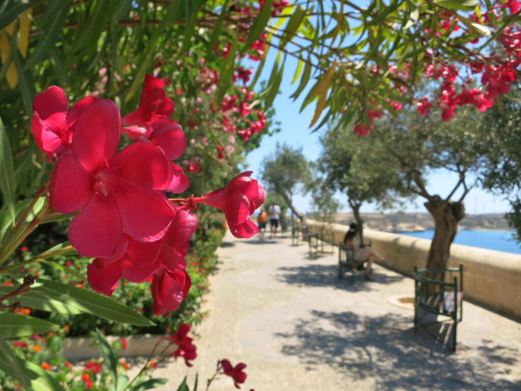 Lower Barrakka Garden Valletta Malta