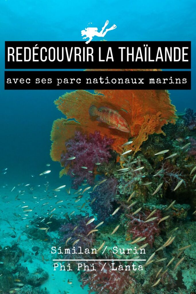 Parc nationaux marins Thaïlande pin2