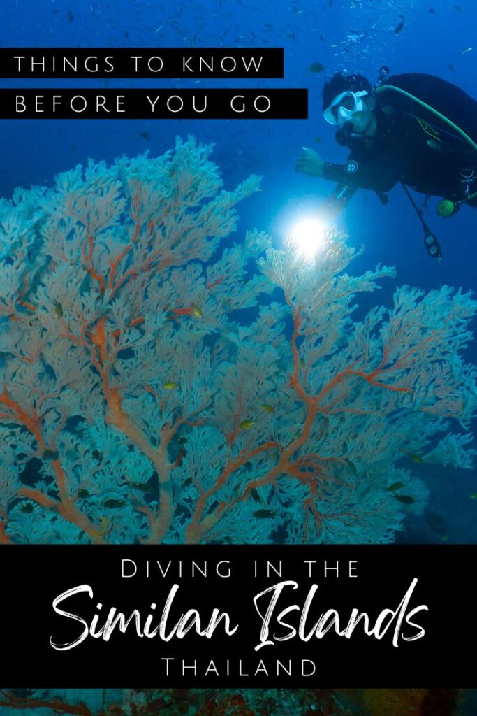Diving in the Similan Islands - pin2
