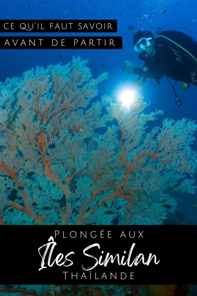Plongée aux îles Similan - Thaïlande - pin2