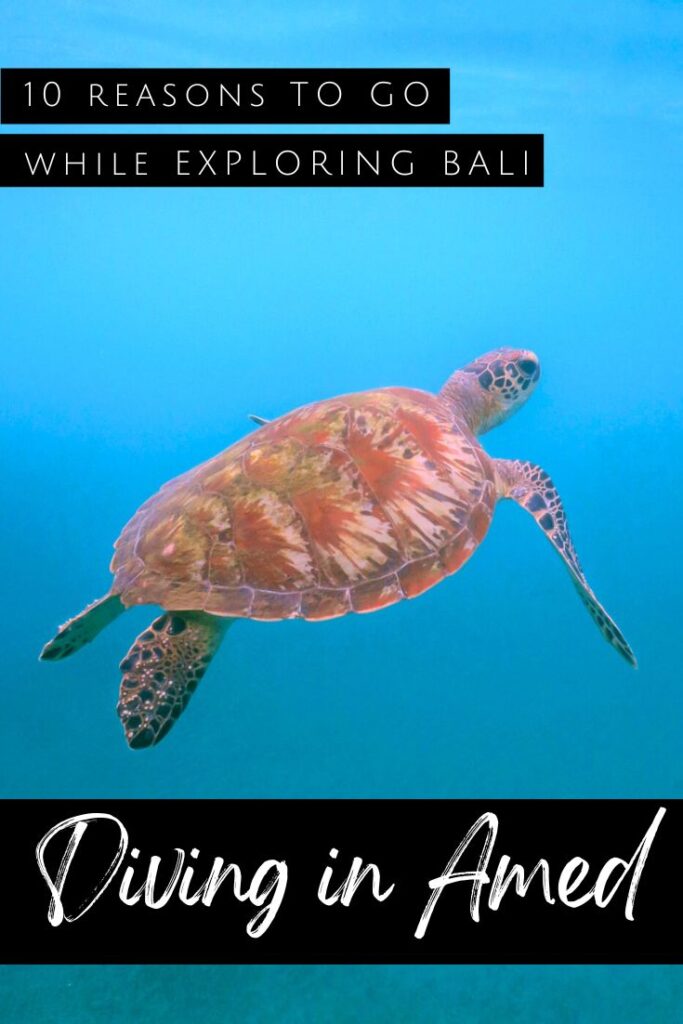 Diving in Amed pin1