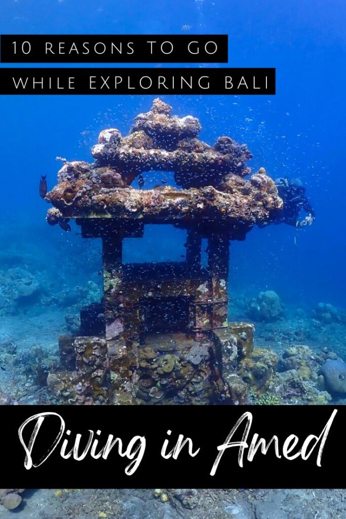 Diving in Amed pin2